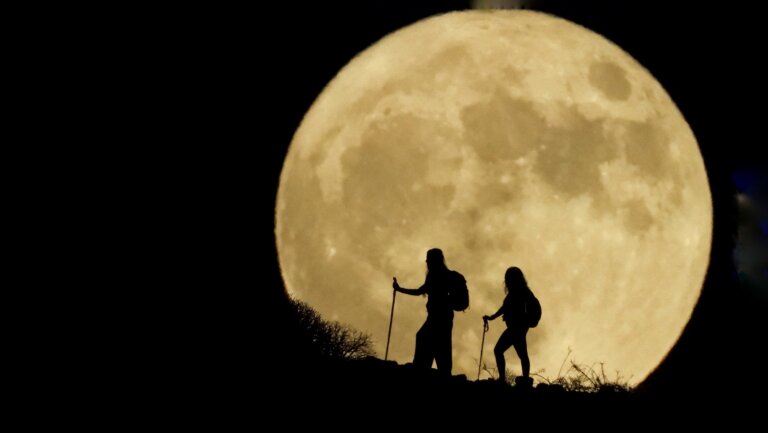 Karol SAMSEL: Literacki Nobel 2024. Przewidywania