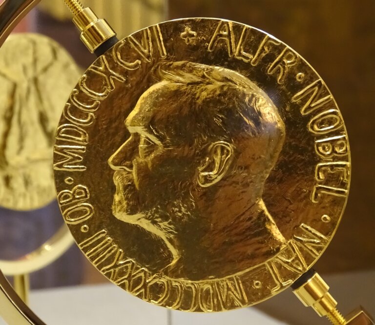 Laureata Pokojowej Nagrody Nobla wybiera pięcioosobowy Norweski Komitet Noblowski spośród wszystkich prawidłowo zgłoszonych kandydatów. Do tegorocznej nagrody zgłoszono 338 kandydatów, z czego 244 to osoby fizyczne, a 94 - organizacje.