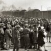 Robert SZUCHTA, prof. Piotr TROJAŃSKI: Świat wobec Holocaustu. Polskie próby powiadomienia aliantów