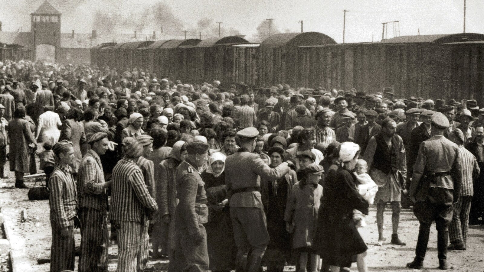 Robert SZUCHTA, prof. Piotr TROJAŃSKI: Świat wobec Holocaustu. Polskie próby powiadomienia aliantów