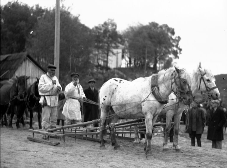 Piotr MIODUNKA: Kryzysy żywnościowe i klęski głodu. Zapomniane karty historii chłopów
