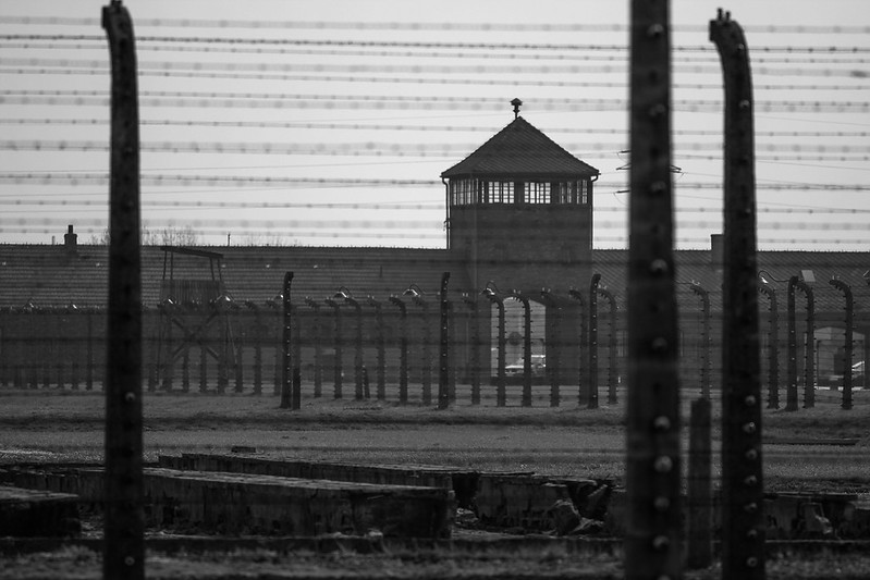 80. rocznica wyzwolenia Auschwitz. Głosy ocalałych