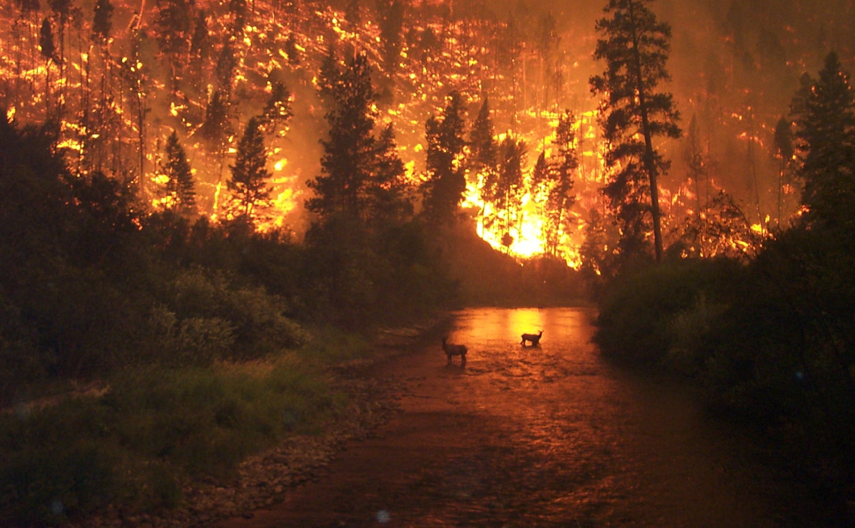 Zmiany klimatyczne powodują globalny spadek gospodarczy: 50% do 2090 roku