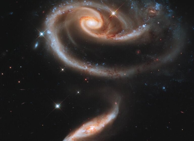 Arp 273