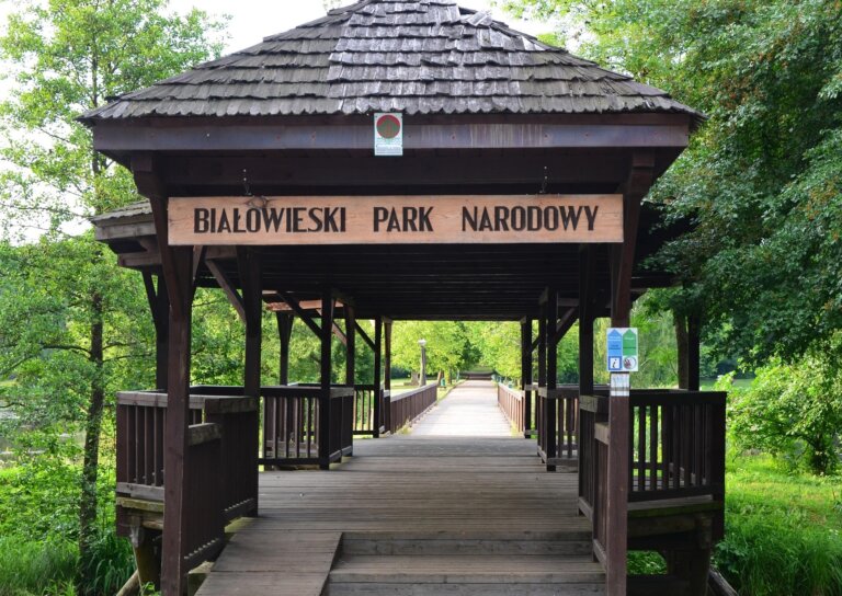 Puszcza Białowieska