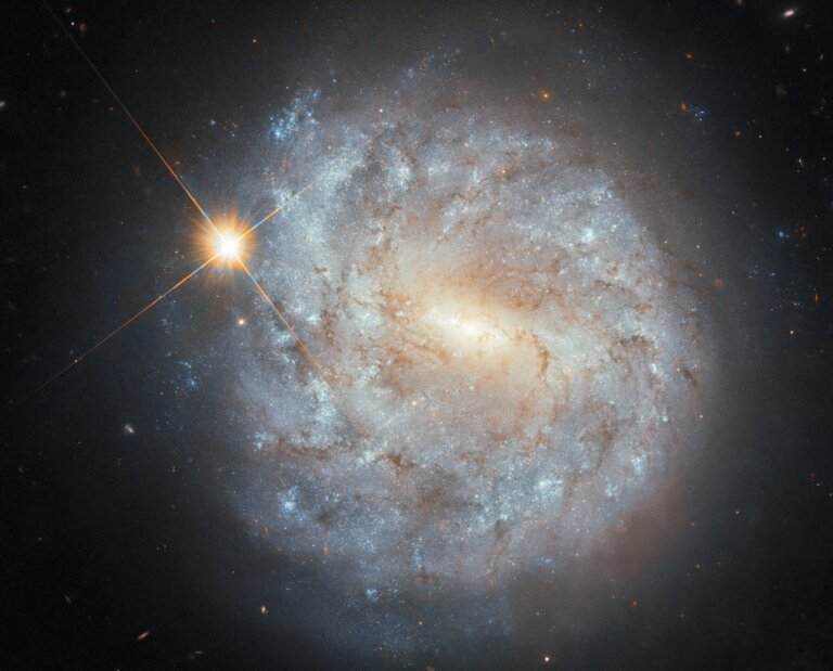 NGC 4900