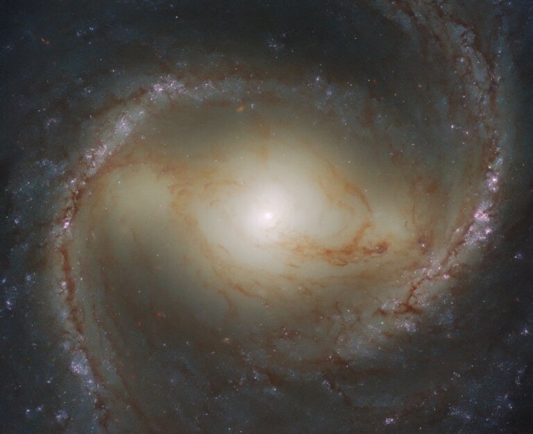 M91