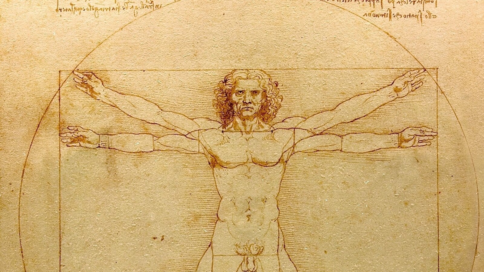 Prof. Jerzy MIZIOŁEK: Leonardo da Vinci – geniusz wszechczasów