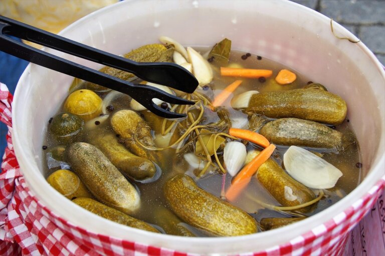 Produkty poddane fermentacji mlekowej, czyli kiszonki takie jak kiszona kapusta, mają korzystny wpływ na przewód pokarmowy – potwierdzają badania opublikowane na łamach pisma „Applied and Environmental Microbiology”.