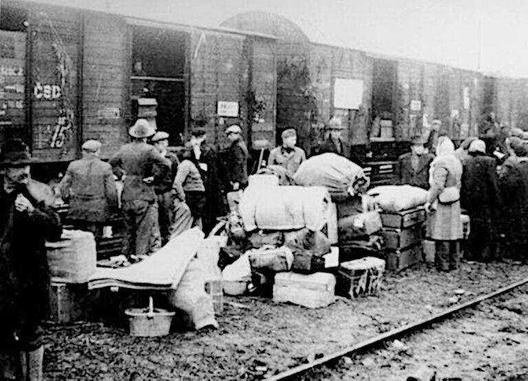 ustawa o repatriacji deportacje