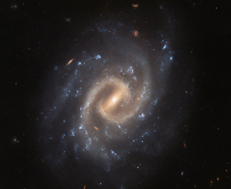 UGC 12295