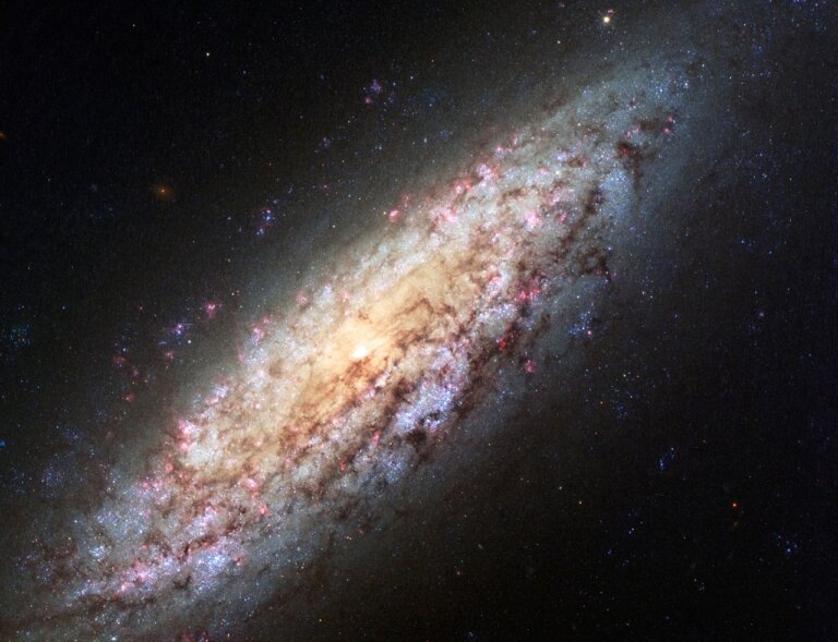 NGC 6503