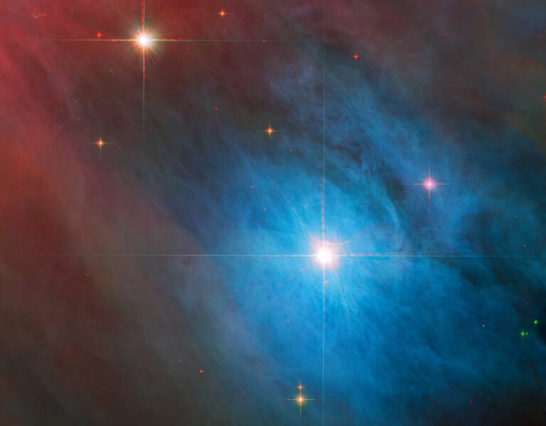 V 372 Orionis