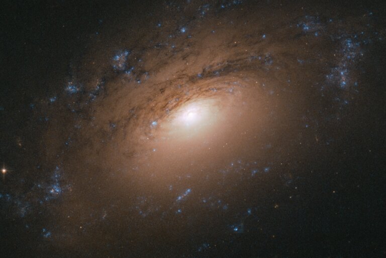 NGC 3169