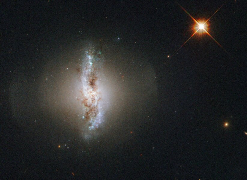 Arp 230