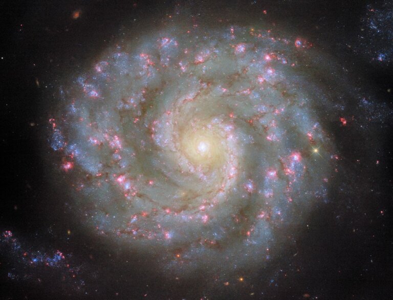 NGC 3596
