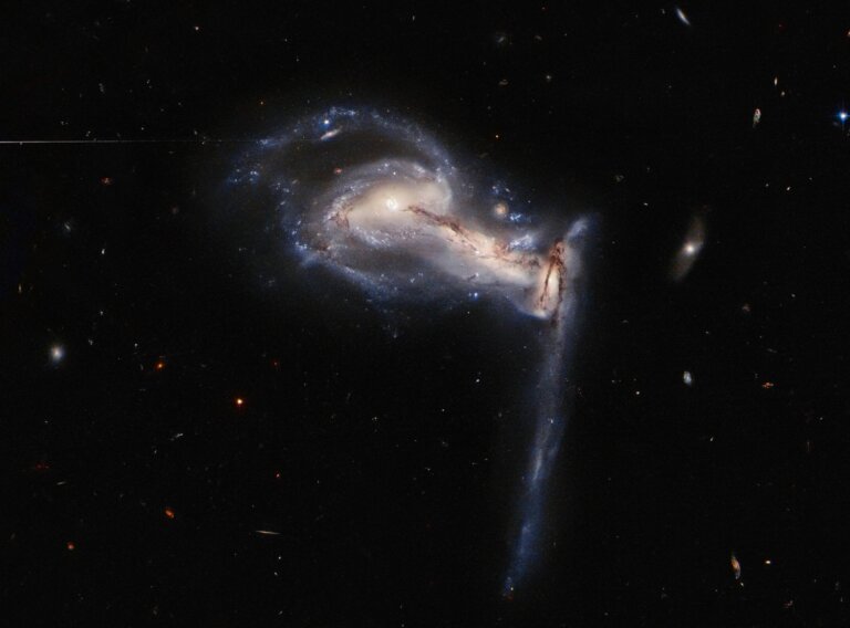 Arp 195