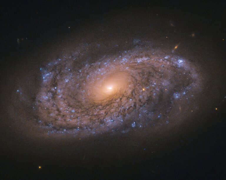 NGC 2906