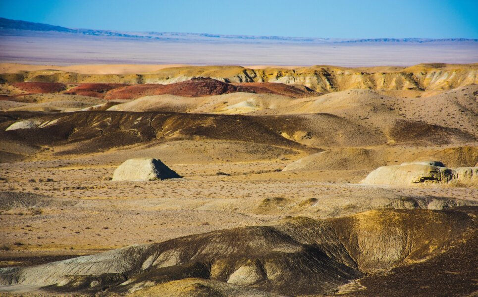 Gobi
