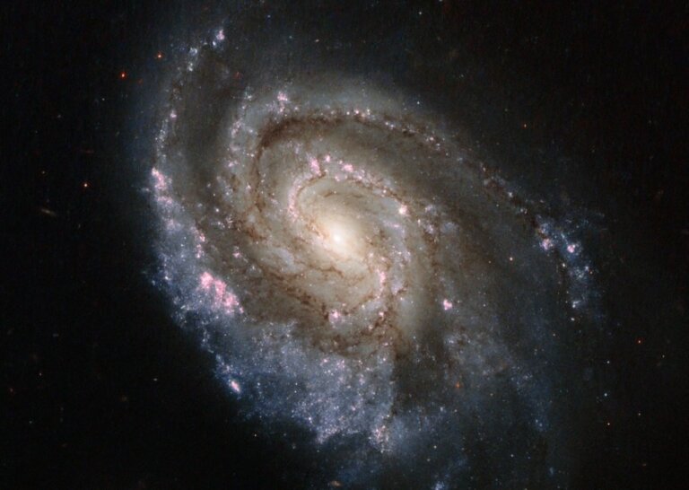 NGC 6984