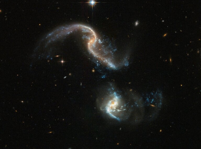 Arp 256