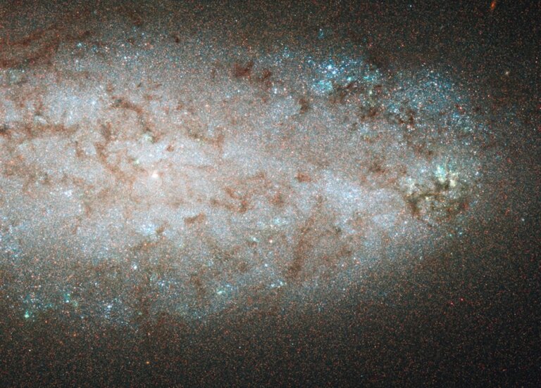 NGC 2976