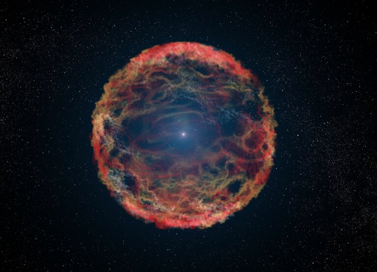 SN 1993J