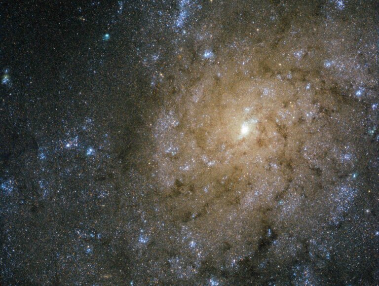 NGC 7793