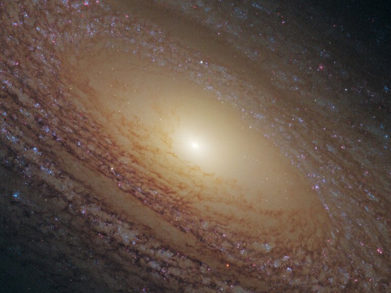 NGC 2841