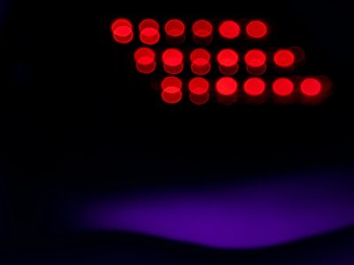 Zdjęcie okładkowe wpisu Prof. Ziemowit Miłosz MALECHA: Zainfekowane uniwersytety
