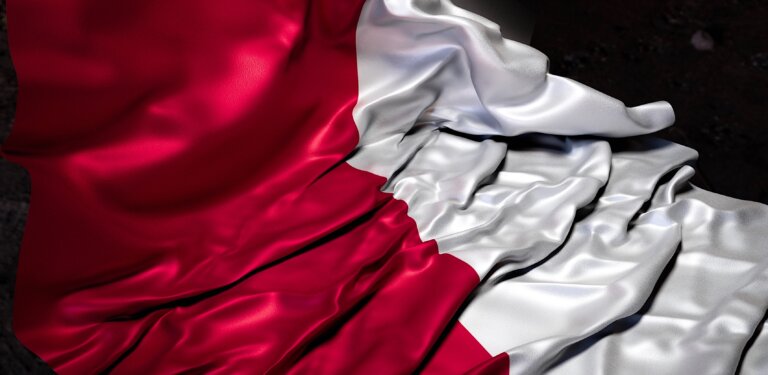 Negowanie Holokaustu to haniebne kłamstwo historyczne - powiedział w Lublinie prezes Prawa i Sprawiedliwości Jarosław Kaczyński. Jego zdaniem to, co robi Grzegorz Braun jest uderzeniem w nasze najbardziej elementarne interesy, niszczy nasze stosunki ze Stanami Zjednoczonymi.