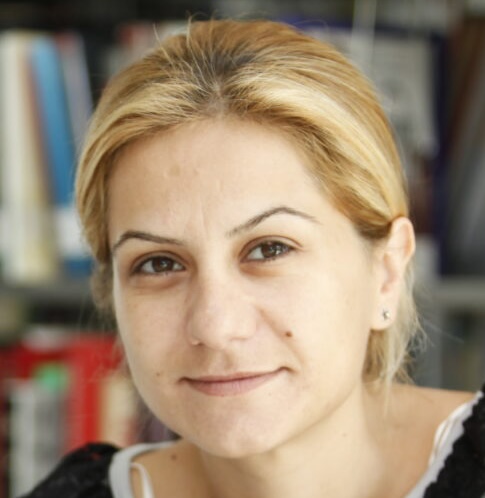 Zdjęcie autora: Prof. Meltem INCE YENİLMEZ