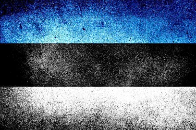 Estonia wzmacnia granicę