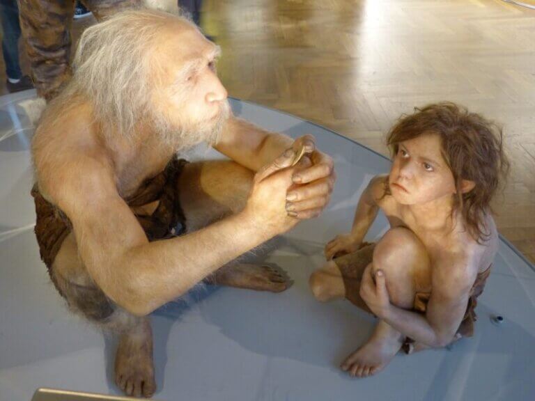 - Neandertalczyk