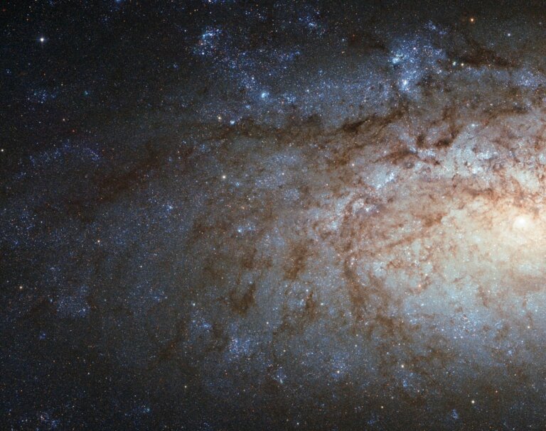NGC 3621