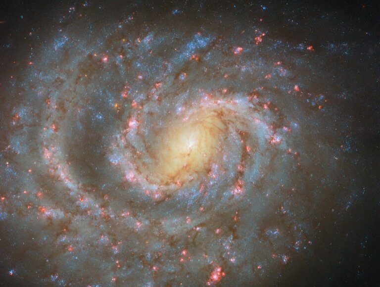 NGC 1637