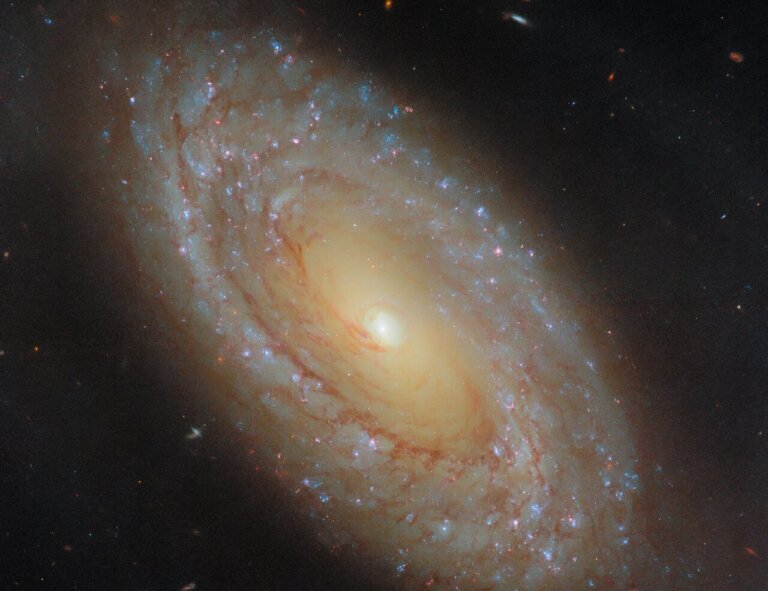 NGC 4941