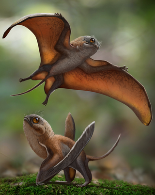 Malutkie pterozaury