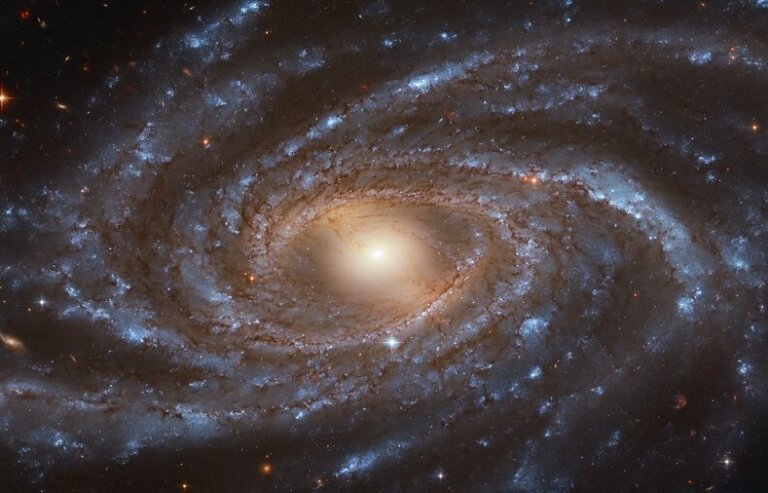 NGC 2336