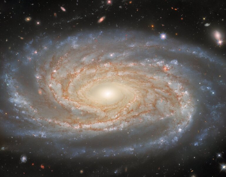 NGC 7038