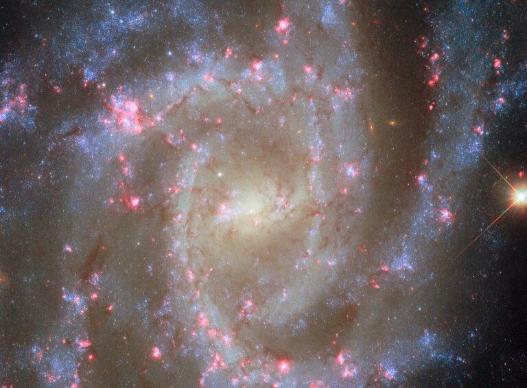 NGC 2835