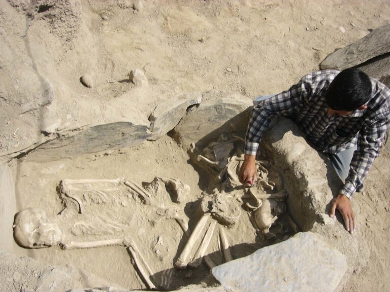 szkielety archeologia prace wykopaliska