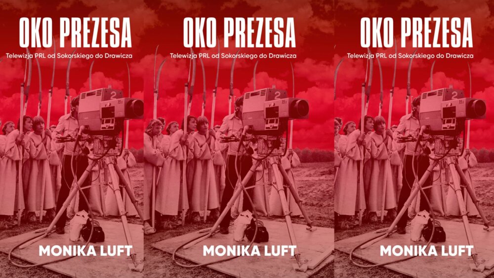 Zdjęcie okładkowe wpisu Monika LUFT: Drawicz i etap przejściowy