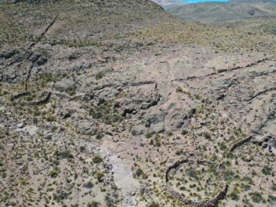 Prehistoryczne pułapki z Chile. Andyjscy myśliwi za ich pomocą polowali na wikunie  