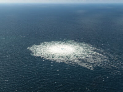 Jan ROKITA: Dyshonor i upokorzenie