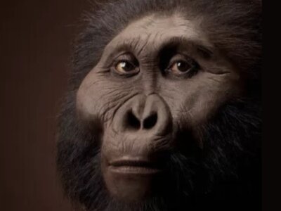 Wymarły krewny człowieka mógł posługiwać się narzędziami