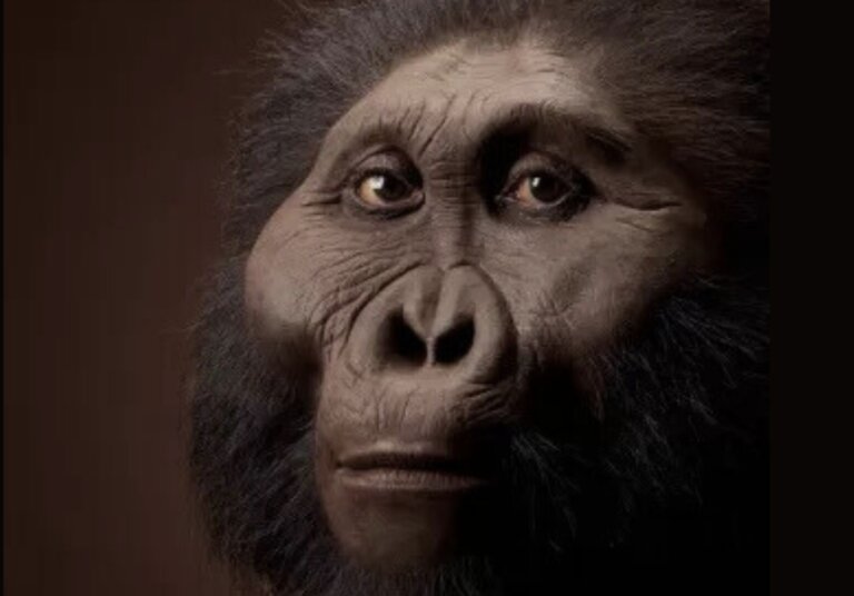 wymarły krewny człowieka