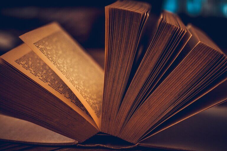Mimo kryzysów literacki Nobel to wciąż najważniejsza nagroda literacka na świecie – uważa literaturoznawca i rektor Uniwersytetu Śląskiego w Katowicach prof. Ryszard Koziołek. Ocenił, że jej wartością stało się reprezentowanie różnych obszarów światowej kultury literackiej. Tegorocznego laureata poznamy w czwartek.