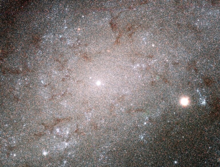 NGC 300