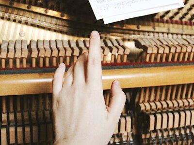 Jan ROKITA: Bunt filharmoników